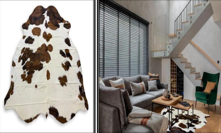 Are Cowhide Rugs the Ultimate Statement Piece for Your Home